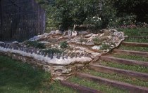 Phlox Rock Garden  1963