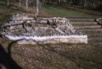 Phlox Rock Garden  1962