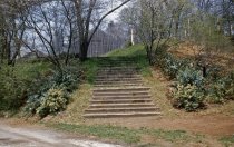 New steps to Wisteria Walk,1956