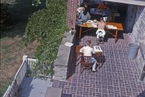 Woody Plant Class, Final Exam on Gates Porch 1963