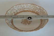 Haviland Bowl with Birch Pattern ca. 1887