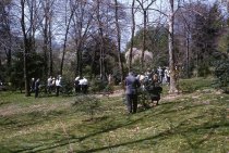 American Holly Society meeting at the Arboretum  1960