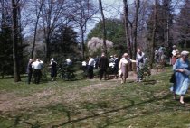 American Holly Society meeting at the Arboretum  1960