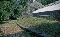 Before the Medicinal Garden  1956