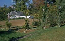 Medicinal Garden  1957