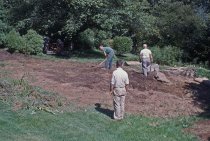 Heath Garden, Early Stage 1963