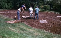 Placing Stones in the Heath Garden  1963
