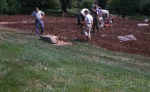 Heath garden, Morris Arboretum 1963