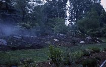 Heath garden, Morris Arboretum 1965