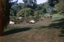 Heath Garden  1965