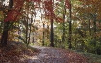 Drive below Widener Center