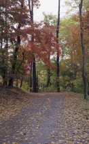 Drive below Widener Center