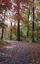 Drive below Widener Center