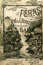 Fern Catalog