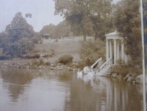 John Morris at Swan Pond