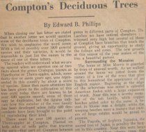 Compton's Deciduous Trees by Bruce Phillips