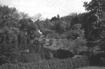 Arboretum View before 1988