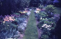 Ambler School of Horticulture for Women - Formal Garden