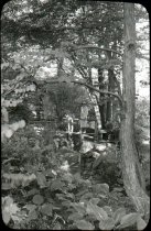 Log Cabin Bridge and Mrs. Samuel Morris  1933