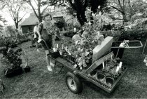 Woman Pushing Huge Cart with Plants at Plant Sale 1987
