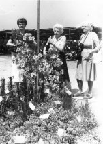 Arboretum Trip to China  1981