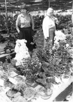 Arboretum Trip to China  1981