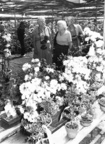 Arboretum Trip to China  1981