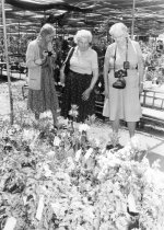 Arboretum Trip to China  1981