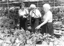 Arboretum Trip to China  1981