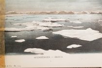 1525298939232-353cfff6-2e59-4b49-a2f2-d029ed14756a