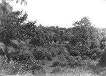 Arboretum Views of South Slope 1970-1980