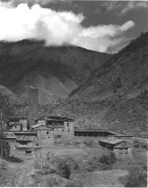 Curatorial Travel to China  1983