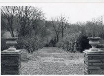 Wisteria Walk:  Winter