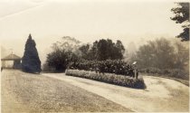 Driveway by Summerhouse Pavillion  1909-1910