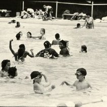 Swimming in Willson's Woods Pool