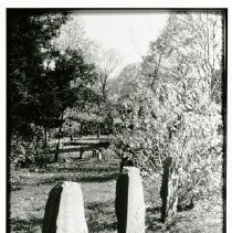 Purchase Friends Meeting House Cemetery - fieldstones