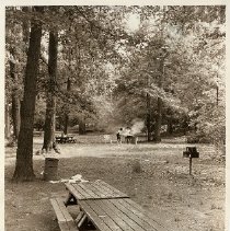 Wilson Woods Park picnic area