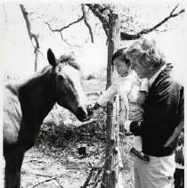 Child with horse at Muscoot Farm