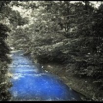 Bronx River in Greenacres