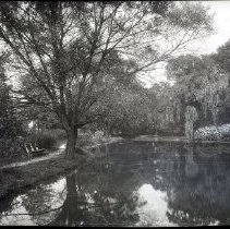 Bronx River in Greenacres
