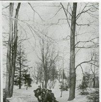 Bobsledding on Central Drive