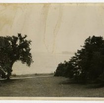 Trees on Souci, property of Georgine Iselin, June 1941 - Long Island Sound in background