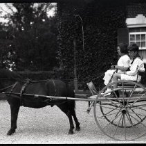 Boy and girl from the Iselin family with a pony and carriage at Breakwater House