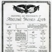Genealogical chart of Adelina Moses Loeb