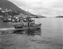 Seiner Midnight Sun coming out