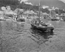 Seiners at City Float
