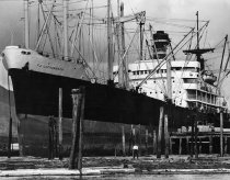 S.S. F.J. Luckenbach loading lumber