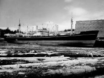 M/V Malaya loading pulp at Ketchikan Pulp Mill