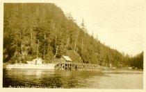 Boat and dock at Bell Island springs