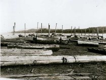 Logs on tide flats at lowtide